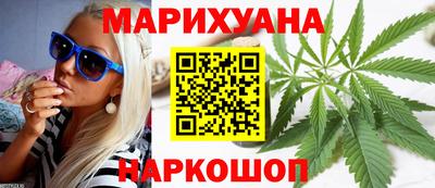 мдпв Гатчина