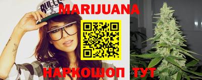 мдпв Гатчина