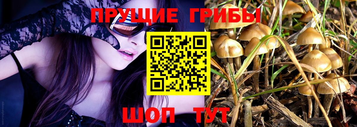 Галлюциногенные грибы GOLDEN TEACHER  Псилоцибиновые грибы прущие грибы  Кохма  наркотики  Вход с VPN 