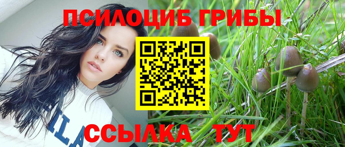 Галлюциногенные грибы MAGIC MUSHROOMS Кохма